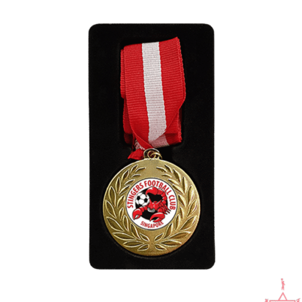 Plastic Medal w Ribbon