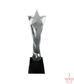 Clear Star Twisted Crystal Trophy