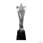 Clear Star Twisted Crystal Trophy