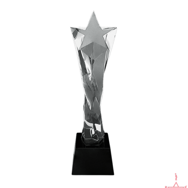 Clear Star Twisted Crystal Trophy