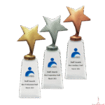 Metal Star Crystal Trophy