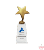 Metal Star Crystal Trophy - Image 2