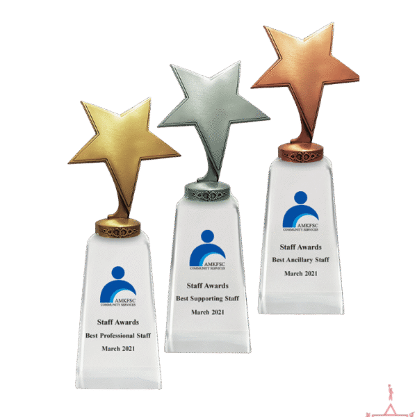 Metal Star Crystal Trophy