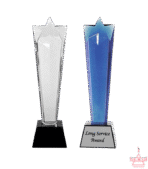 Rising Star Crystal Trophy
