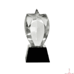 Clear Star Crystal Trophy