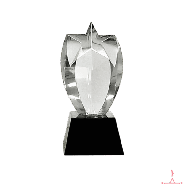 Clear Star Crystal Trophy