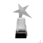 Star Crystal Trophy