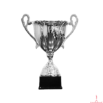 Challenge Metal Cup Trophy