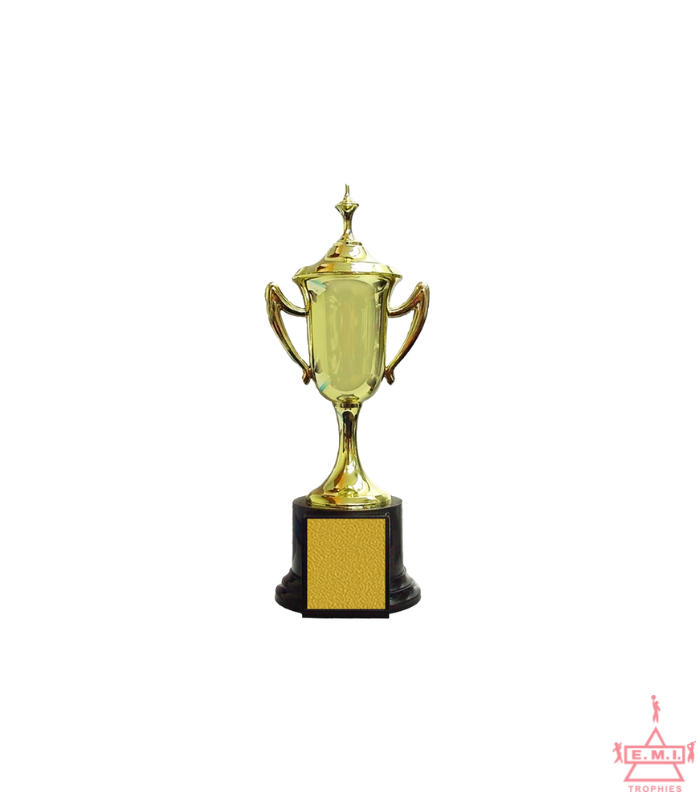 TC-2807 (3) Plastic Cup Trophy with Lid - TC-2807 - Image 1