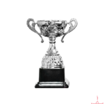 Metal Cup Trophy-