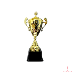 Metal Cup Trophy with Lid-TC-2832