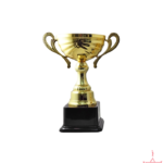 Metal Cup Trophy-TC-2847