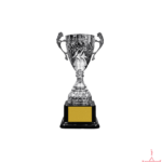Metal Cup Trophy-TC-2907/1