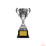 Metal Cup Trophy-TC-2907
