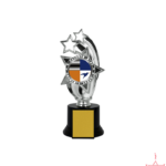 Plastic Star Trophy-Plastic Star Trophy