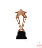 Plastic Star Trophy-TC-3010-1 & 2 - Image 4