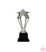 Plastic Star Trophy-TC-3010-1 & 2 - Image 3