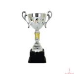 Metal Cup Trophy TC-3035