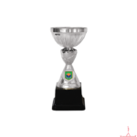 Metal Cup Trophy-TC-5004