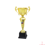 Metal Cup Trophy-TC-6006