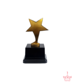 Antique Metal Star Trophy - TC11-M101A - Image 3