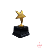 Antique Metal Star Trophy - TC11-M101A - Image 2