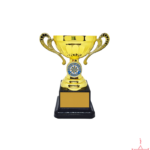 Metal Cup Trophy TS-2834