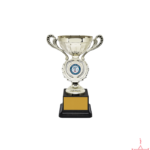 Metal Cup Trophy-TS-2835