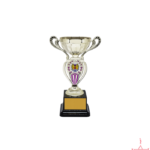 Metal Cup Trophy-TS-2836