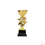 Metal Trophy TS-342
