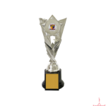 Plastic Trophy-TS-350