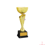 Metal Bow Trophy-TS-5008