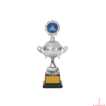 Metal Cup Trophy-TS-5010